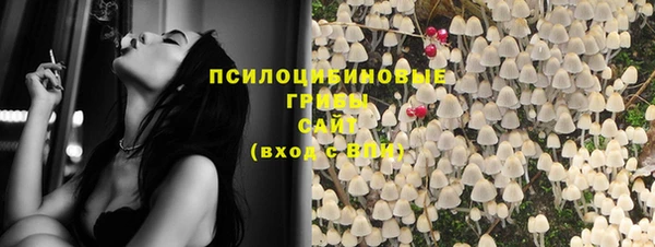 метадон Белокуриха